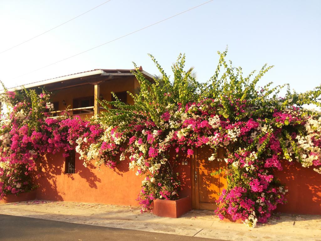 Villa Pelicano Las Tablas Εξωτερικό φωτογραφία